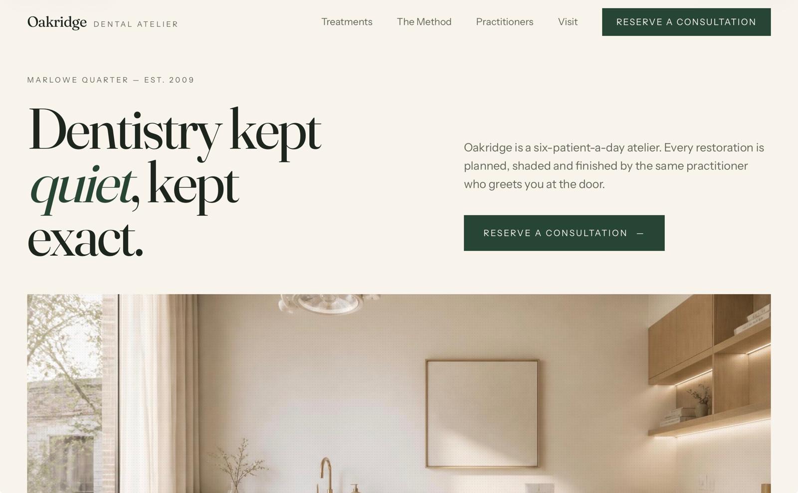 Premium Dental Clinic Website — fictional demo project screenshot